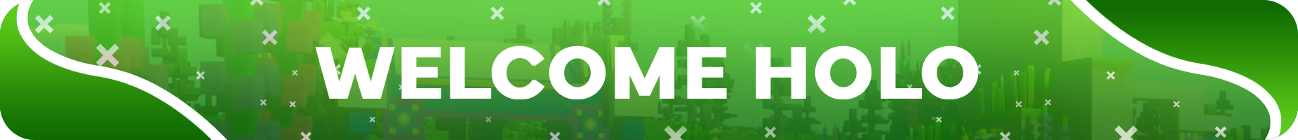 Welcome Holo